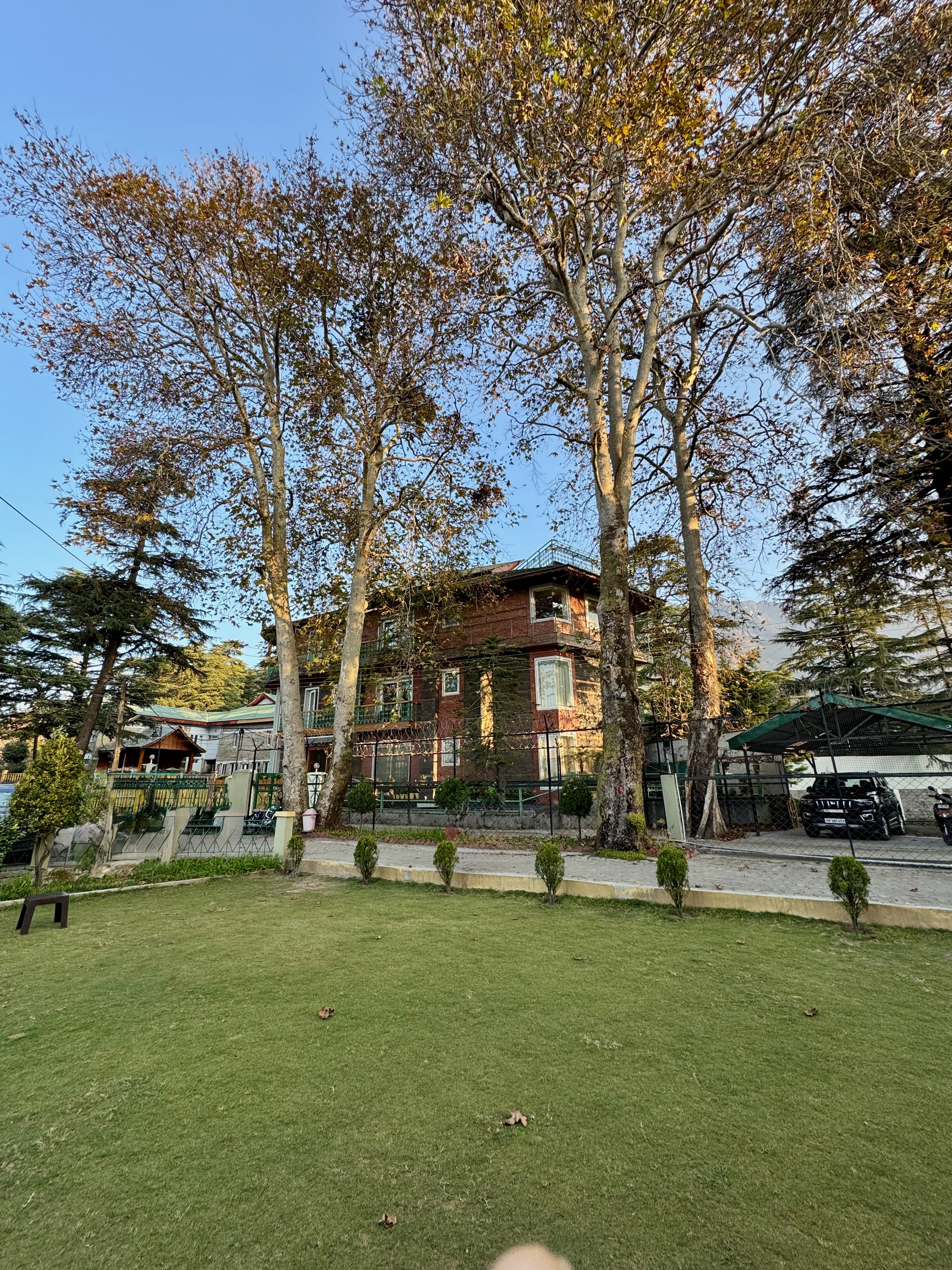 Autumn Lawn